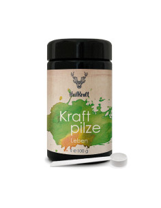 Heilkraft Vitalpilze Leben 100g | Reishi, Shiitake, Agaricus
