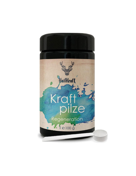 HEILKRAFT - Kraftpilze Regeneration - Vitalpilz Synergetikum - HEILKRAFT SCHWEIZ