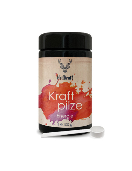HEILKRAFT - Kraftpilze Energie
