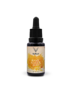 Krafthanf Gold 5 Premium CBD Extrakt 10ml | online kaufen