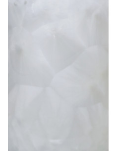 Erntefrisches Bio Kokosöl Nativ 500ml 2