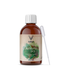 Artemisia annua Auszug 250ml | Einjähriger Beifuß Tinktur