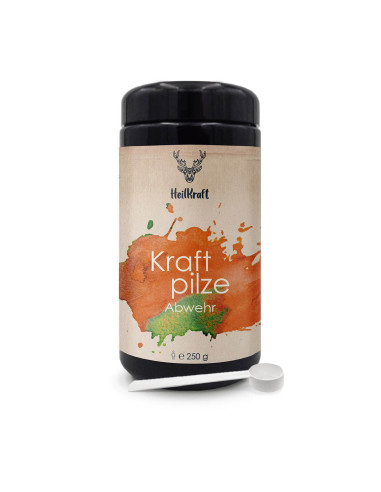 Heilkraft Vitalpilze Abwehr Mischung 250g | 7 Pilze vereint