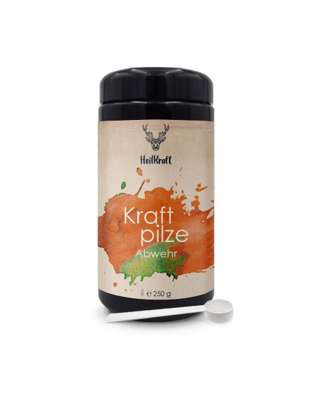 Heilkraft Vitalpilze Abwehr Mischung 250g | 7 Pilze vereint