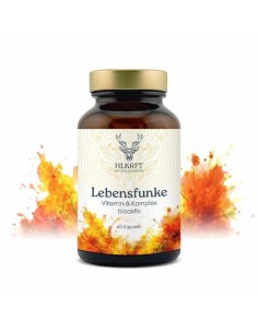 Heilkraft Lebensfunke | Vitamin B-Komplex 60Stk. | Hochdosiert 2