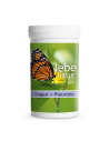 lebe natur®  Guggul + Pleurotus 180 Kapseln