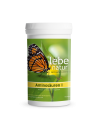 lebe natur® Aminosäuren I 180 Kapseln