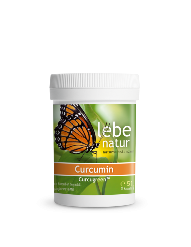 Curcumin 90 Kapseln | lebe natur® Kurkuma Extrakt