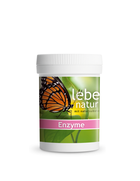 Enzyme Komplex | 90 Kapseln lebe natur® Vegan | Lager Schweiz