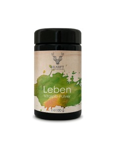 Heilkraft Vitalpilze Leben 100g | Reishi, Shiitake, Agaricus