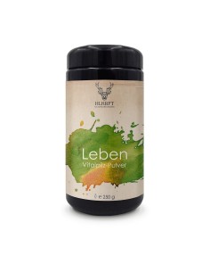 Heilkraft Vitalpilze Leben Mischung 250g | Jetzt online kaufen