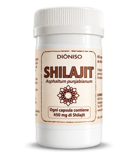 Shilajit 450 mg Kapseln – Mumijo aus Indien | Naturecare